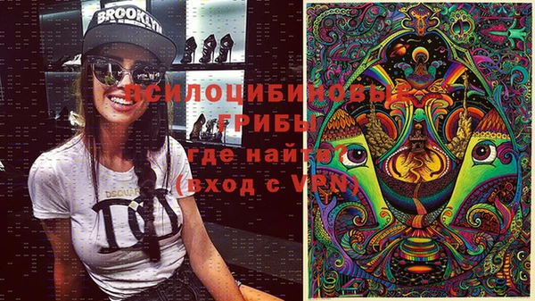 ешки Алзамай