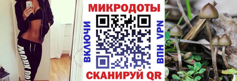 где купить наркоту  Тамбов  Псилоцибиновые грибы ЛСД 