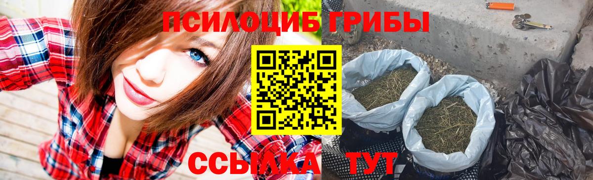 Тамбов  Галлюциногенные грибы Psilocybine cubensis  Вход с VPN 