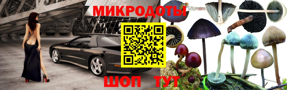 Псилоцибиновые грибы прущие грибы Тамбов